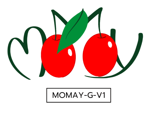 Momay Logo